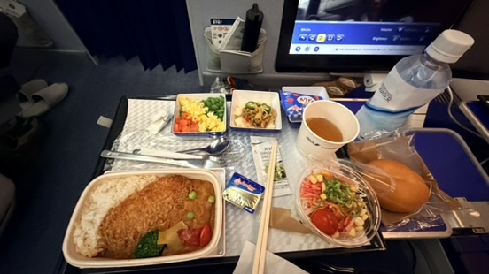 Meal served aboard an ANA flight on the journey from Mumbai through Tokyo.